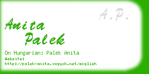 anita palek business card